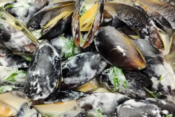 Moules à la crème